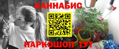 spice Пенза