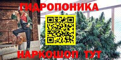 spice Пенза