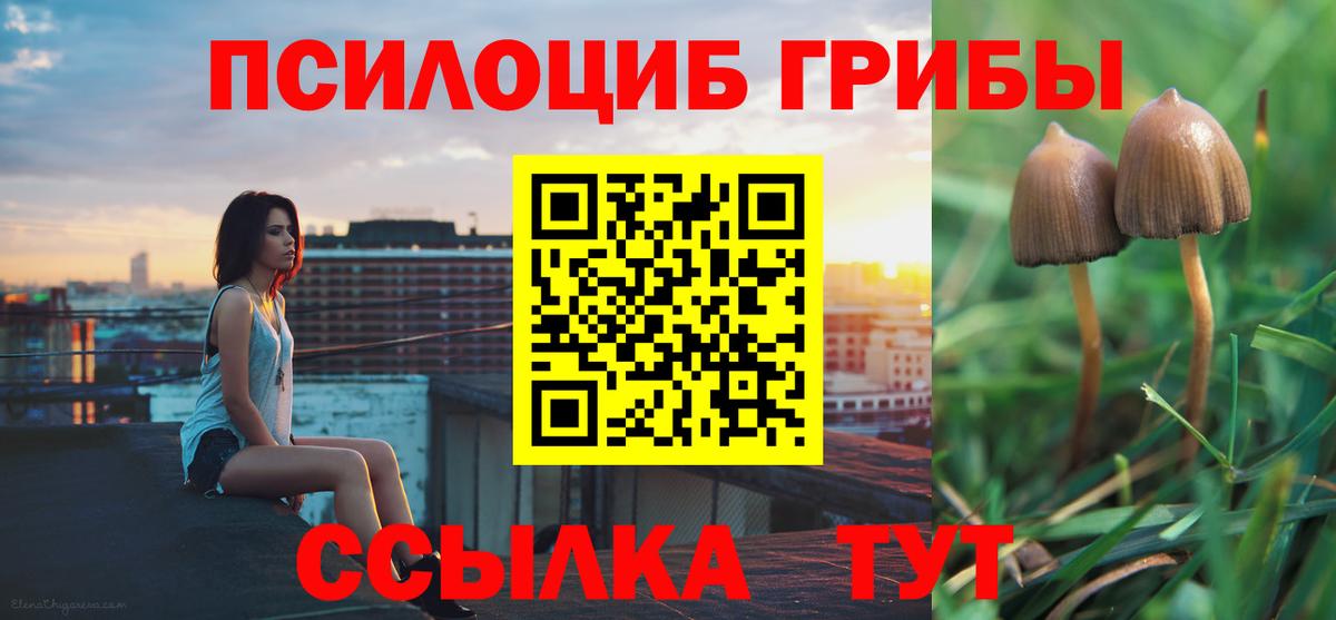 Галлюциногенные грибы мицелий Сальск