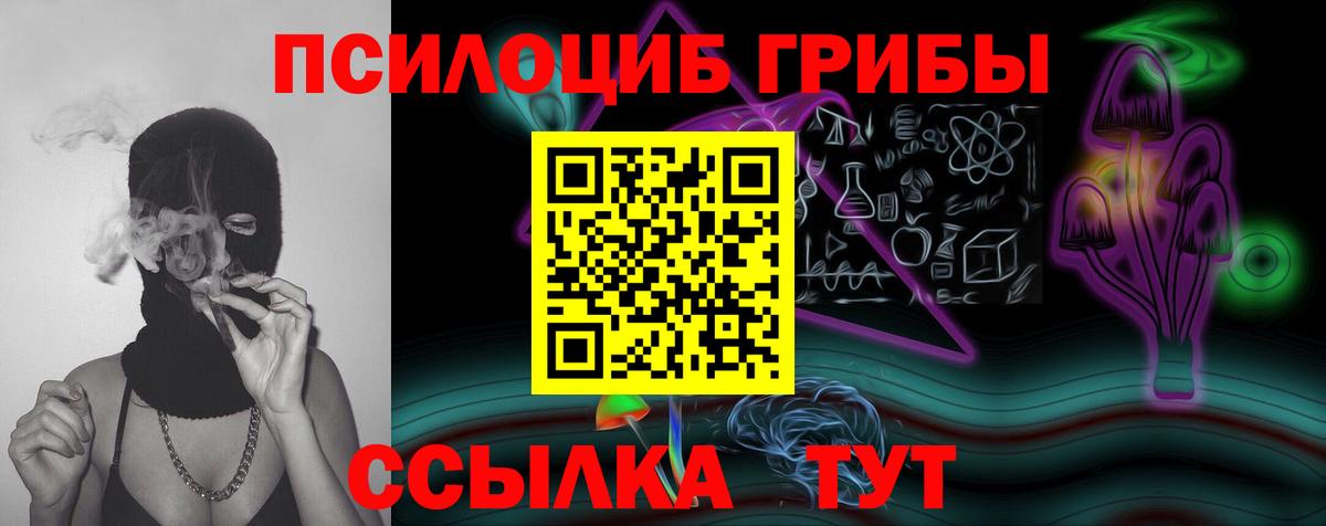 Псилоцибиновые грибы Psilocybine cubensis  Вход с VPN  закладка  Сальск 