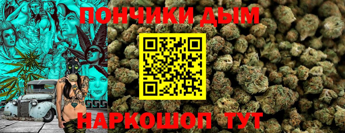 Конопля конопля  Канабис MAZAR  Вход с VPN  Сальск 